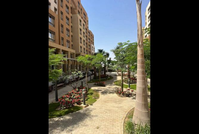 8016693 - Property Image 2