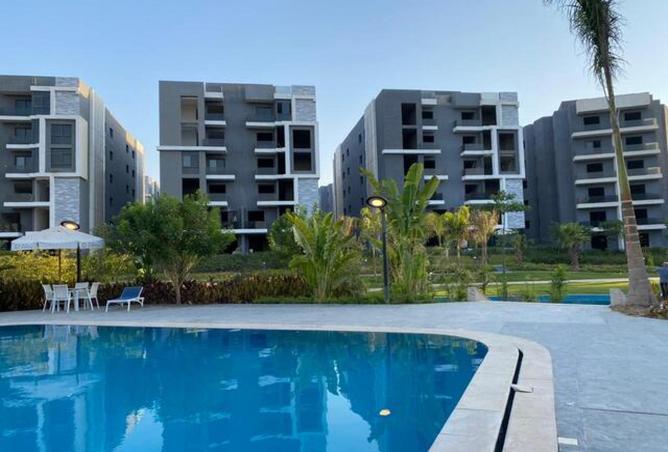 8290197 - Property Image 3