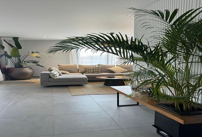 8381690 - صورة العقار 2