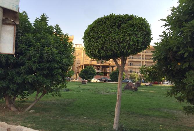 7947742 - صورة العقار 2