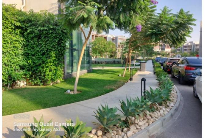 8438493 - Property Image 2