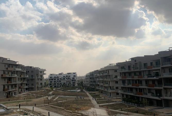 8279555 - صورة العقار 3