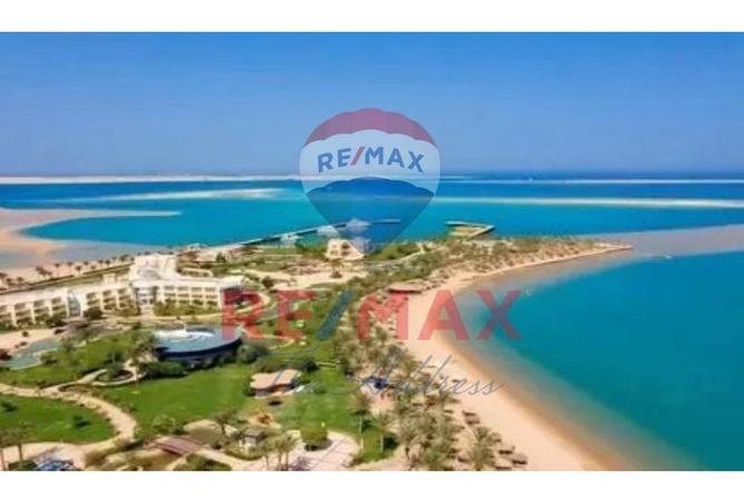 7974382 - صورة العقار 2
