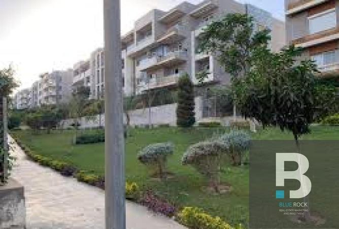 8065781 - Property Image 3