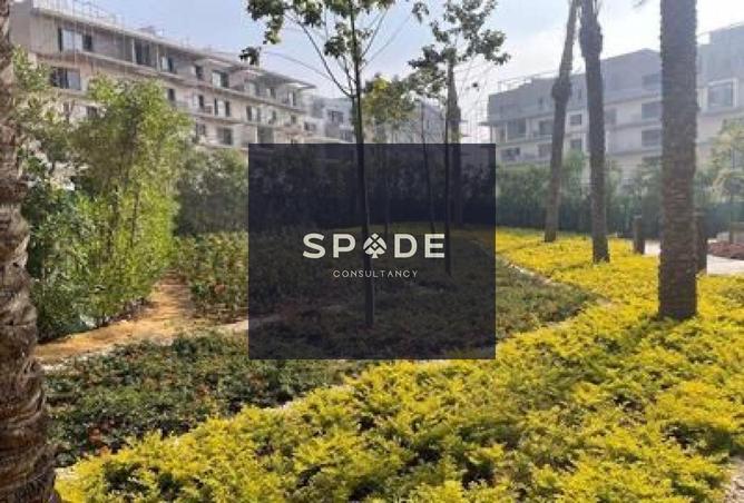 8185595 - صورة العقار 2