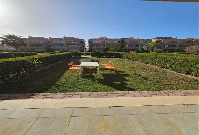 7983892 - Property Image 2