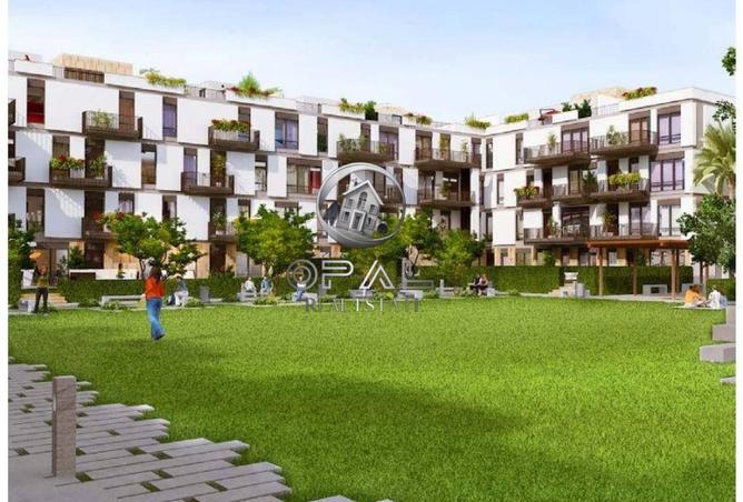 8230282 - Property Image 3