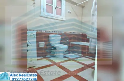 Apartment - 3 Bedrooms - 3 Bathrooms for rent in Kamal Eldin Salah St. - Smouha - Hay Sharq - Alexandria