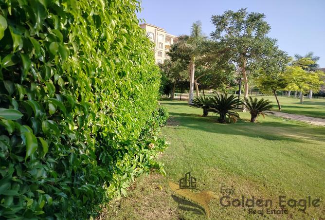 7852863 - الصورة الرئيسية للعقار