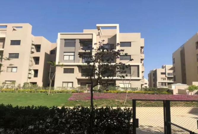 8003926 - صورة العقار 2