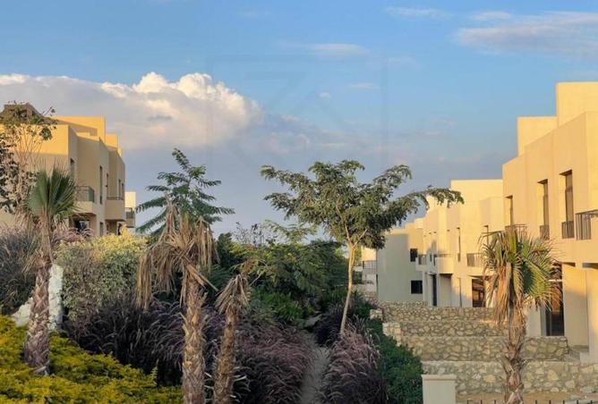 8177774 - Property Image 3