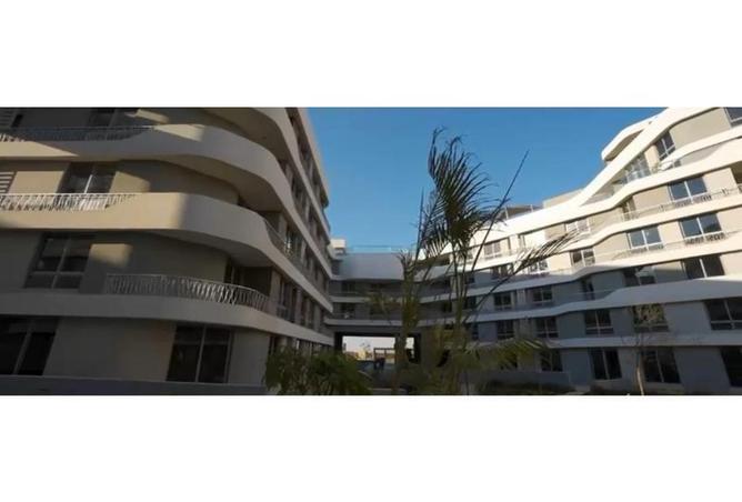 8283412 - صورة العقار 3