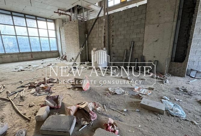 8251901 - Property Image 3