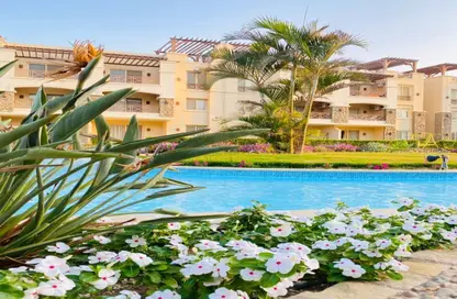 Chalet - 2 Bedrooms - 2 Bathrooms for sale in Blue Blue - Al Ain Al Sokhna - Suez