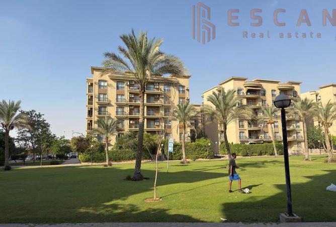 8428621 - صورة العقار 3