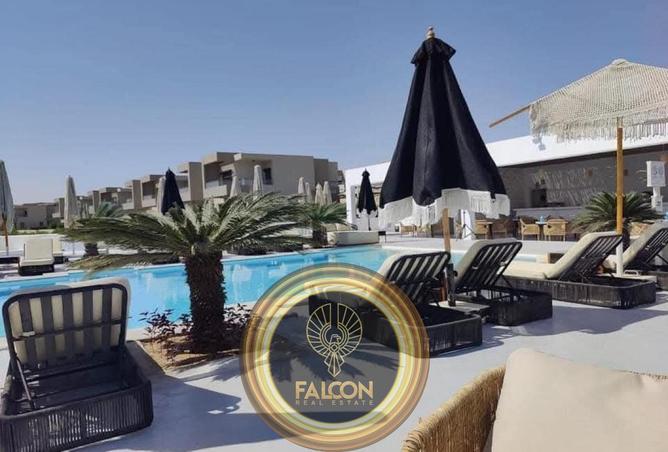 8230876 - Property Image 3