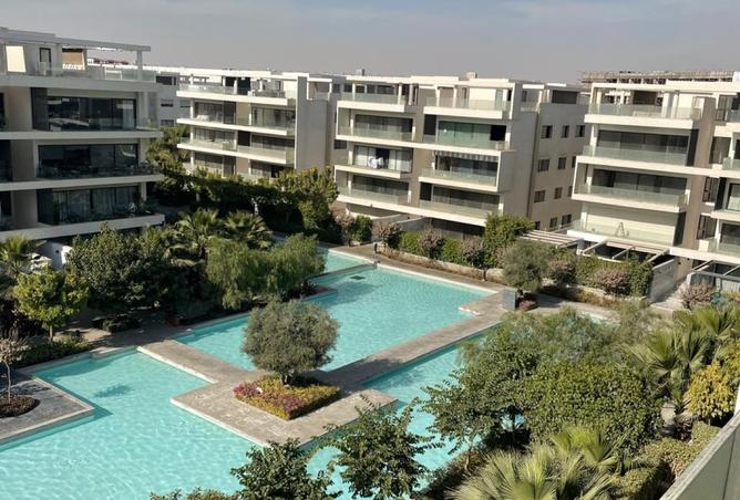 8309626 - Property Image 3