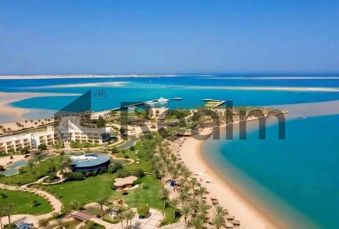 7887527 - صورة العقار 3