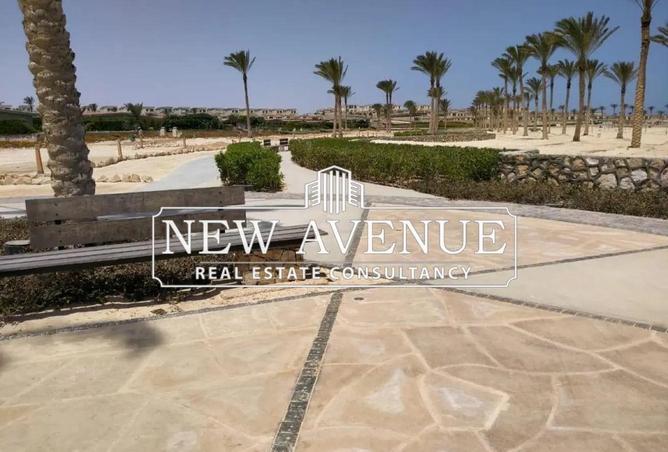 8486423 - Property Image 3