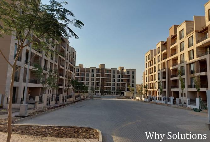 8093216 - Property Image 3