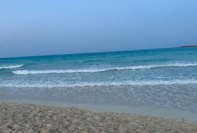 7928294 - صورة العقار 3