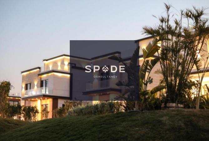 7926687 - Property Image 3