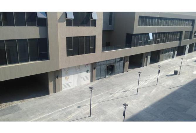 8186964 - Property Image 2