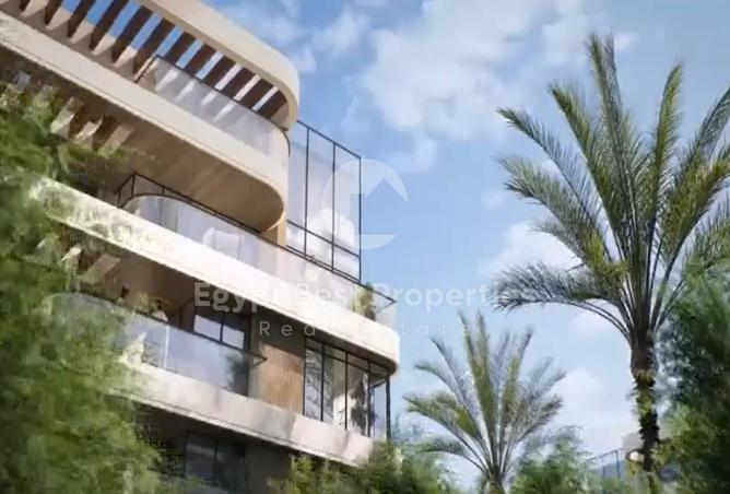 7992419 - Property Image 2