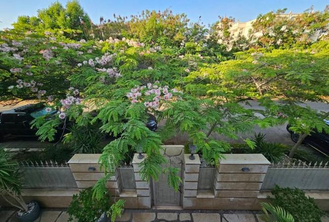 8014379 - Property Image 3