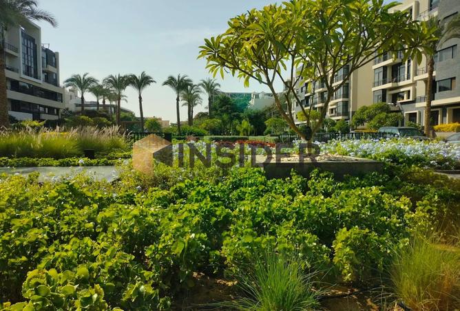 8272036 - Property Image 3