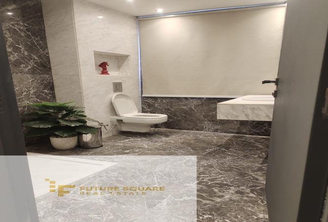7987955 - Property Image 3