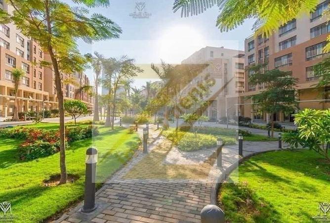 8522176 - Property Image 2