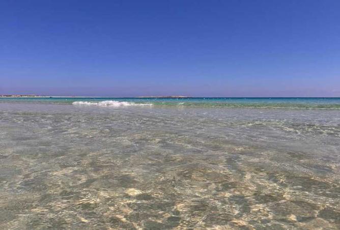 8514268 - Property Image 2