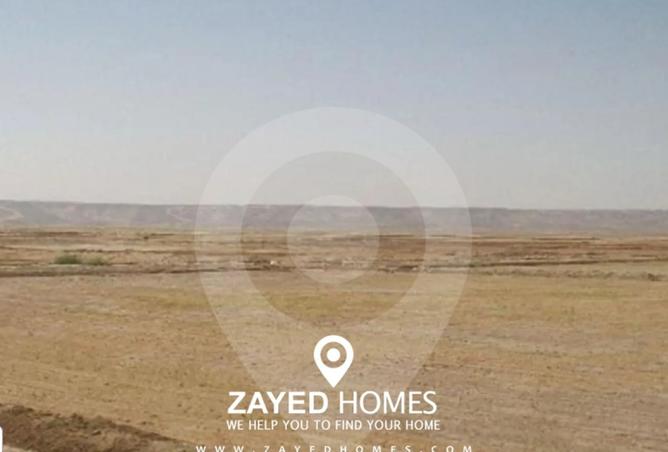 7888089 - Property Image 3