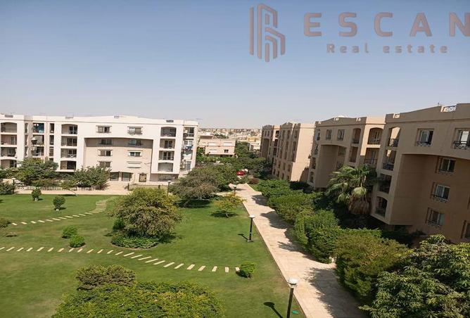 7973909 - الصورة الرئيسية للعقار