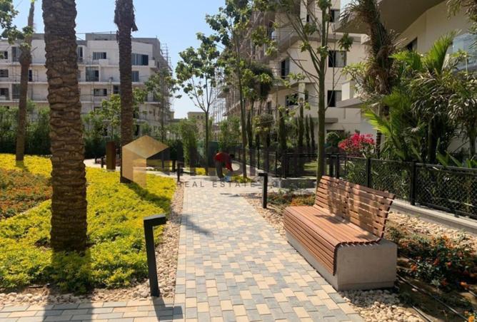 8425688 - Property Image 3