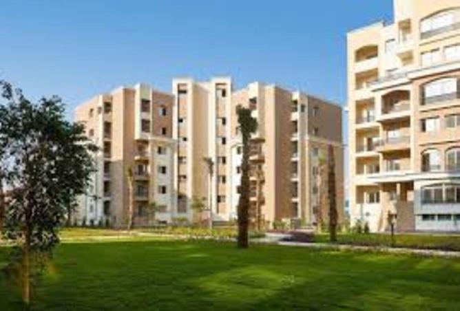 8290788 - صورة العقار 3