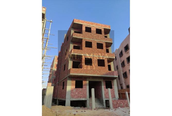 8351818 - Property Image 3