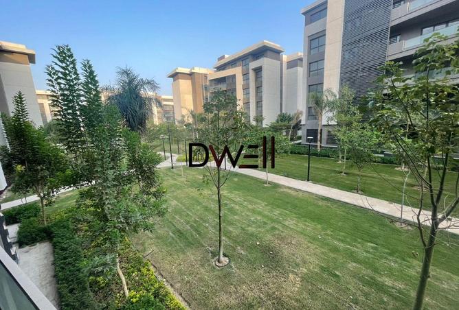 8245496 - صورة العقار 3