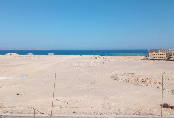 8156241 - Property Image 3