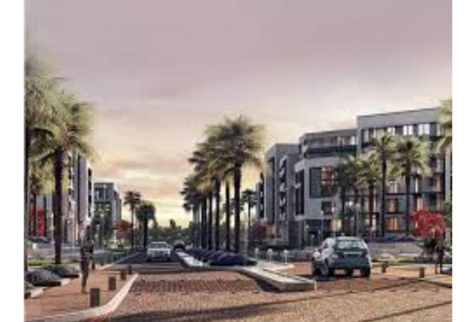 8161647 - Property Image 3