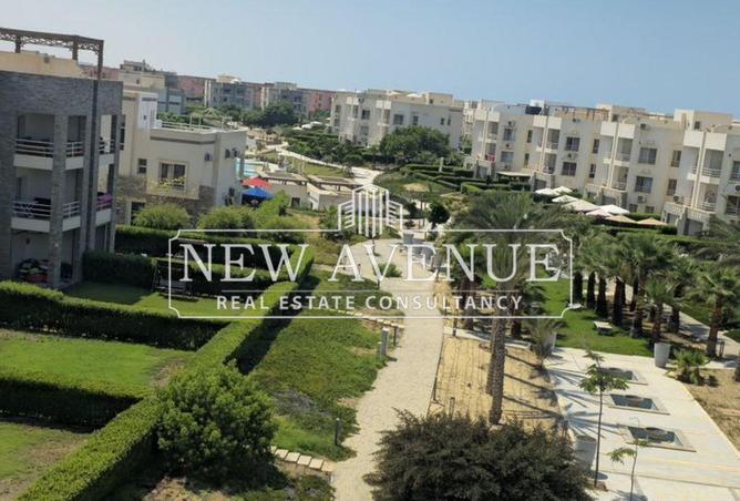 8193491 - صورة العقار 3