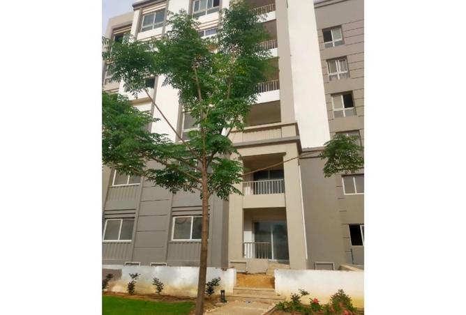 8209748 - صورة العقار 3