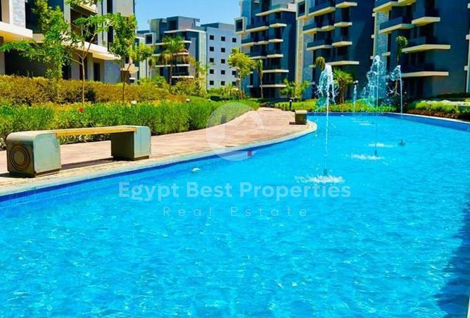 8291831 - Property Image 3