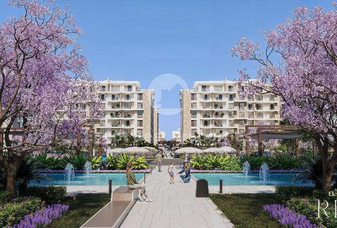 8166919 - Property Image 3