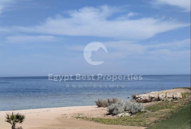7971308 - الصورة الرئيسية للعقار