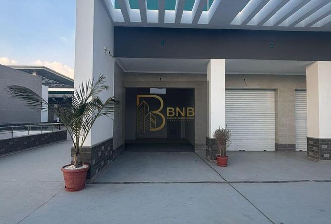 8419845 - Property Image 2