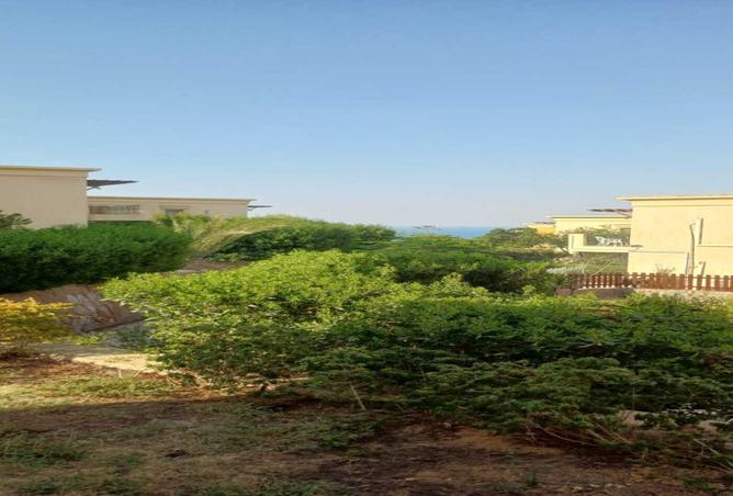 7983928 - صورة العقار 3