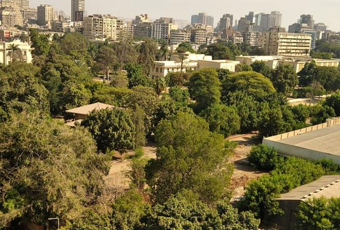 7950329 - صورة العقار 3