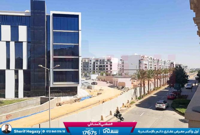 8278694 - Property Image 3